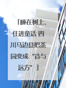 睡在树上、住进童话 四川马边县把茶园变成“诗与远方”